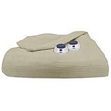 Perfect Fit Ultra Soft Plush Electric Heated Warming Blanket with Safe & Warm Low-Voltage Technology, Queen, Sage Green (783664)