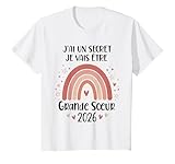 J'ai un secret Je vais etre grande soeur 2026