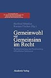 Gemeinwohl und Gemeinsinn im Recht: Konkretisierung und Realisierung öffentlicher Interessen (Forschungsberichte der interdisziplinären Arbeitsgruppe ... Akademie der Wissenschaften)