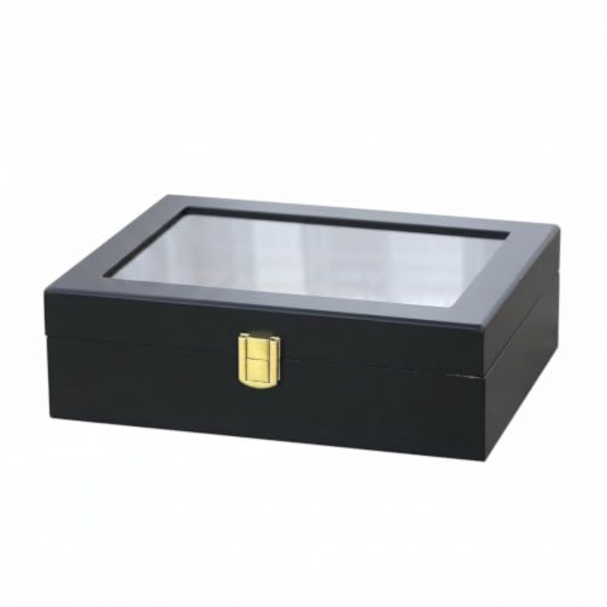 Cushioned Compartments Watch Storage Box with 10 Slots