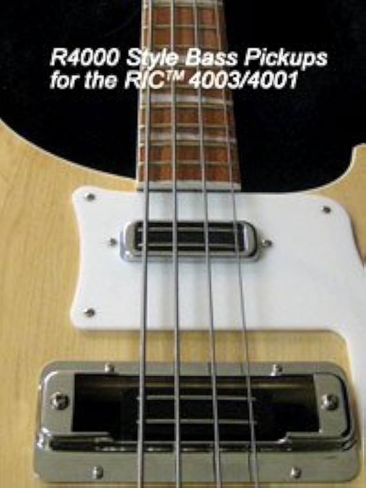 Rickenbackerタイププレート Rickenbacker | – The Twelfth Fret • Guitarists' Pro Shop