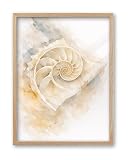 iHery 12x16in Nautilus Shell Framed Coastal Wall Art