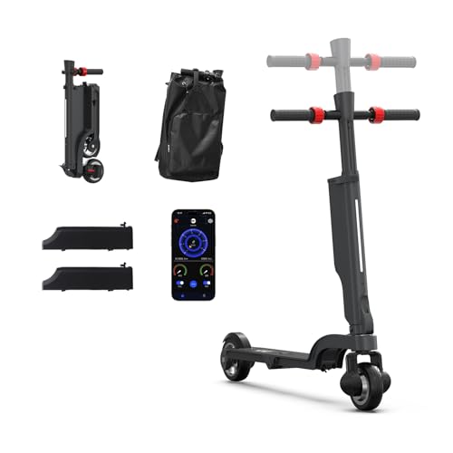 HX X6 Patinete Eléctrico Adultos con 2 Batería Extraíble, Patinete Electrico Plegable, 350W Motor, Máximo 25km/h, Patin Electrico con LCD Pantalla y App, Frenado Dual, Desplazamientos Diarios