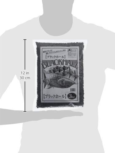 アジア版 ブラックホール 1st スーパー ＋ 亜サイク2 亜 脱出2 2ndLAP