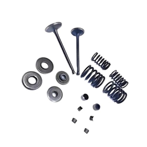 Piezas de reparación y kit de reconstrucción compatible con Stels ATV 300B LU015157