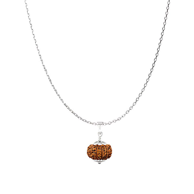 Natural 10 Mukhi Rudraksha Pendant | Dashmukhi Nepali Astrological Bead | Ten Face 925 BIS Hallmark Sterling Silver Locket With Chain for Men & Women lab certified