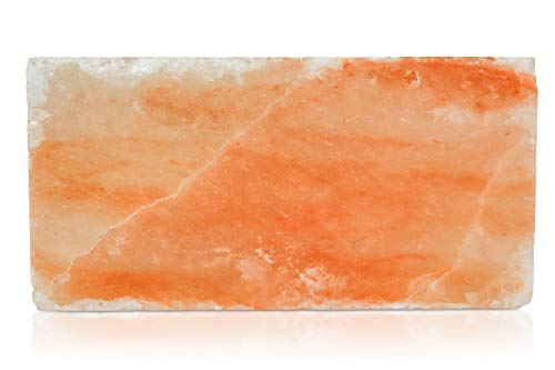 Salt Plate 8 x 4 x 2