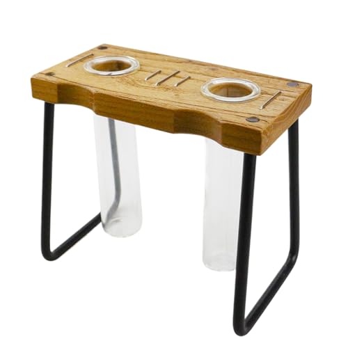 Estación de propagación de plantas | Tubos de propagación de plantas de vidrio, suministros de jardinería, decoración de interiores para estantes, escritorio, hogar, estudio, alféizar de ventana