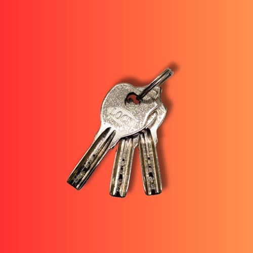 Image of Heavy Duty Keyed Lock | Hardened Steel Shackle Lock | Anti-Rust Security for Gate, Warehouse & Outdoor Use (ALT 41 Silver (60MM))