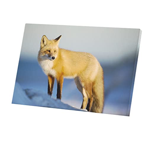 Tableau beau renard de la neige déco sauvage sur toile photo nature 90x60 cm pour salon