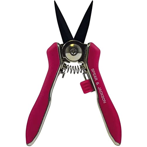 Garden Snips
