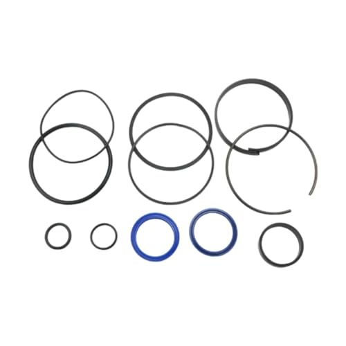 Amagogo Hydraulic Log Splitter Cylinder Rebuild Seal Kit Direct Replaces Easy to Install Hydraulic Cylinder Rebuild Kit