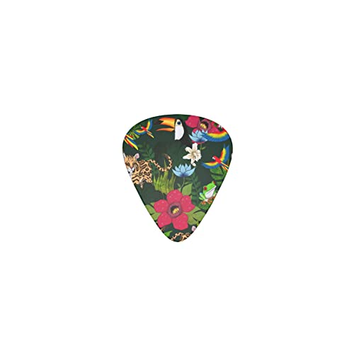 qE IE JG fUCM^[sbN guitar pick eBAhbv^ GLM^[/AR[XeBbNM^[/NVbNM^[/x[X̗KɍœK12Zbg