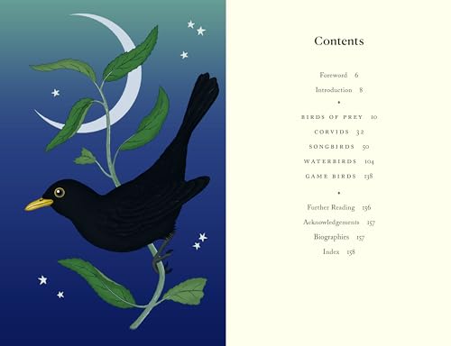 Image of The Folklore of Birds: The forgotten tales behind nature's most enigmatic creatures