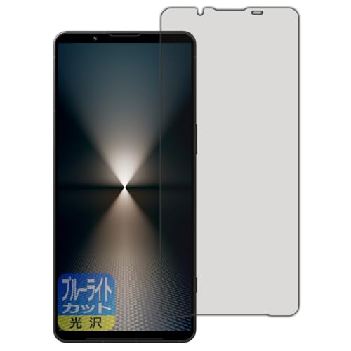 PDAH[ Xperia 1 VI (SO-51E/SOG13/A401SO/XQ-EC44) Ή u[CgJbg[] ی tB {