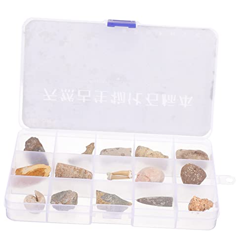 Cabilock Educational Specimens Real Trilobite Set Home Decor Boys and Girls Toys Safe and Natural Model Collection