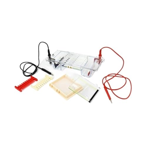 Équipement d'électrophorèse DYCP-31CN format compact pour gel d'agarose