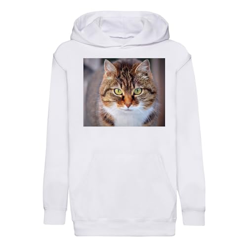 Sweat à capuche enfant chat tigre premium gros plan yeux verts pour junior