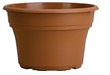 Akro Mils PA08000E22 Panterra Pot, Clay Color, 8-Inch
