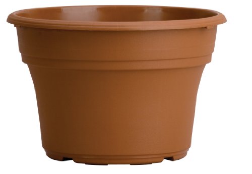 Panterra Round Planter - The HC Companies Decorative 8-Inch Plastic Pot Planter for Outdoor Plants Clay (PA.08000E22C018LRTCK)