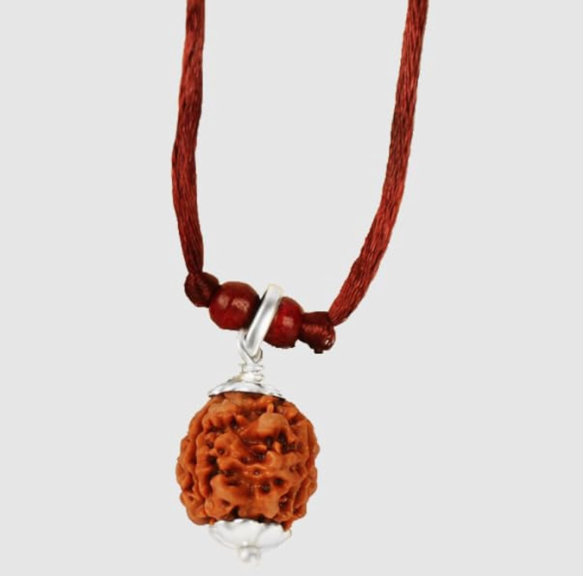 Teen Mukhi Rudraksha Bead, Original Certified
