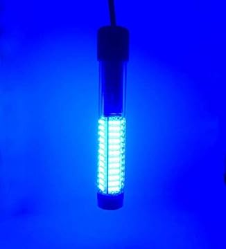 blue fishing light