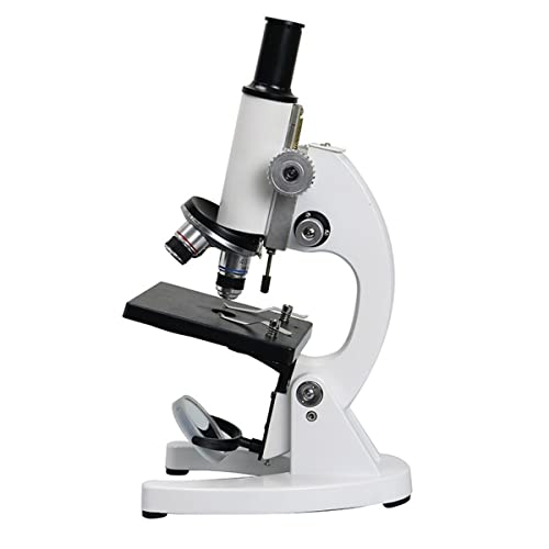 {pANZT[ 4.0x-2000x5s[XKXwI{(Add a WF16x Eyepiece,1600X)