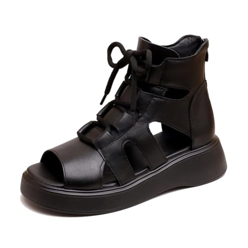 [`GOC] T}[u[c  5cm q[  [XAbv fB[X T_ r ₷ y  ubN I[vgD u[cT_ EFbW\[ ʋC Ȃ OfBG[^[ ItBX ʋ 25.5 cm