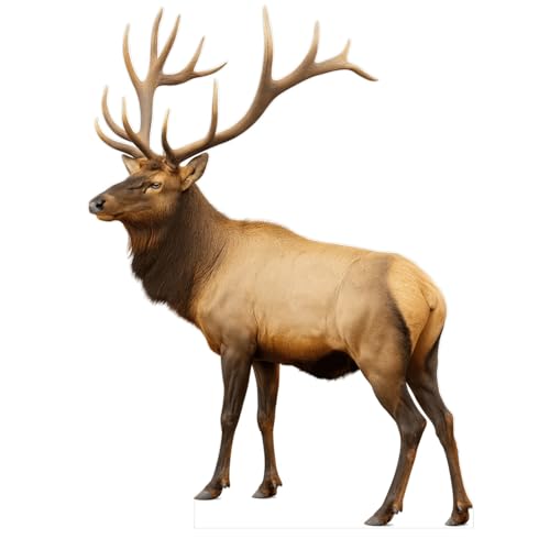 Elk life-size standee for forest decor