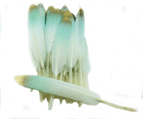 Colorful Gold Dipped Feather in Bulk for Craft Party Decoration Goose Feathers 20pcs/Pack/ (Lemon&Gold)