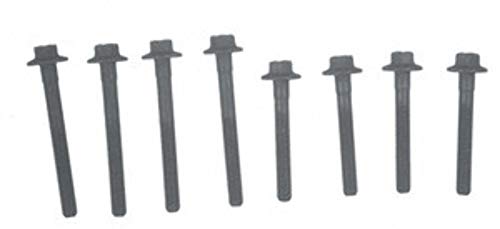 Victor Reinz GS33219 Engine Cylinder Head Bolt Set