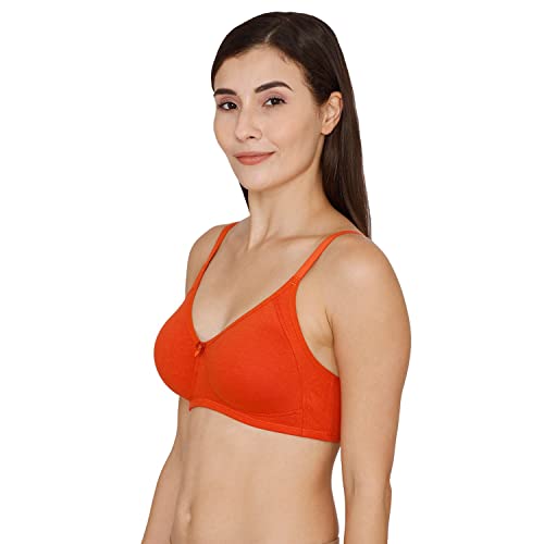 Image of Zivame Women's Cotton Non Padded Wire Free 3 /4Th Coverage Seamless T-Shirt Bra