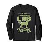 dog Labrador breed Retriever British Purebred