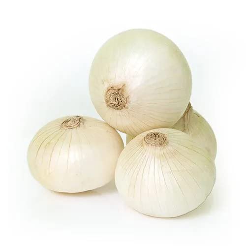 Sozal®™ Fresh Vegetables Salad White Onions Safed Pyaj 850 Gram (0.850 Kg) (Not Onion Seeds) (Corrugated Box Packaging)