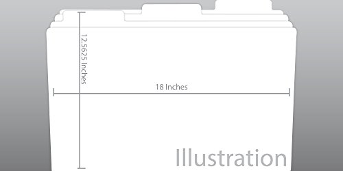 11×17 Teczka na dokumenty, 60 sztuk, biała (563080)