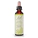 White Chestnut Bach Flower Essences 20 ml Liquid