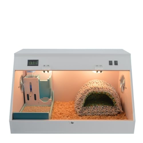 Fiozwea fbNX g[t~jP[W nX^[nlY~p ybgVbv ^ANP[W Cgt ~GۉEۗ@\t (zCg,~fBA _uvz_[inlY~pj pbP[W2)