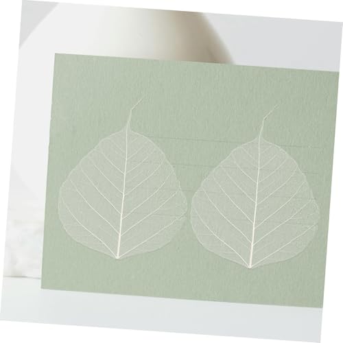 20 hojas secas prensadas para manualidades DIY miniatura 4