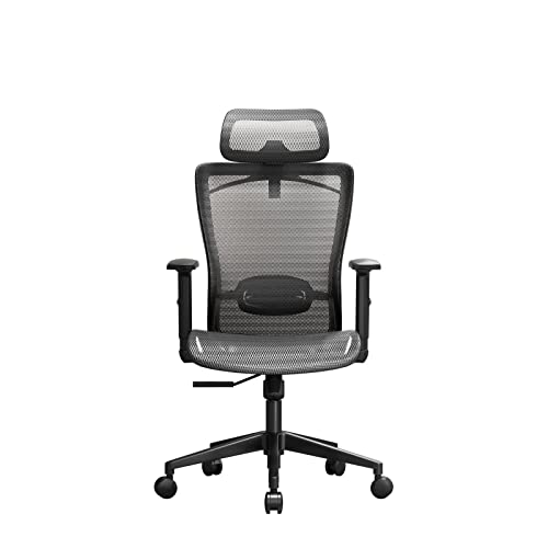 COMHOMA Ergonomischer Bürostuhl, Schreibtischstuhl, Chefsessel Atmungsaktiv, 360° Drehstuhl mit Lordosenstütze, verstellbare Kopfstütze und Armlehnen, Höhenverstellbar, bis 300LB Belastbar, Grau Cover