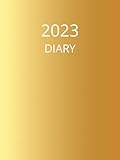  2023-2024 Diary  Planner  Week To View  Personal Organiser  Dated From 26th Dec 2022 To 7th Jan 2024: A4  Includes Vision And Goals Page  Bank ... Dates  2023 Calendar Overview  Gold Edition