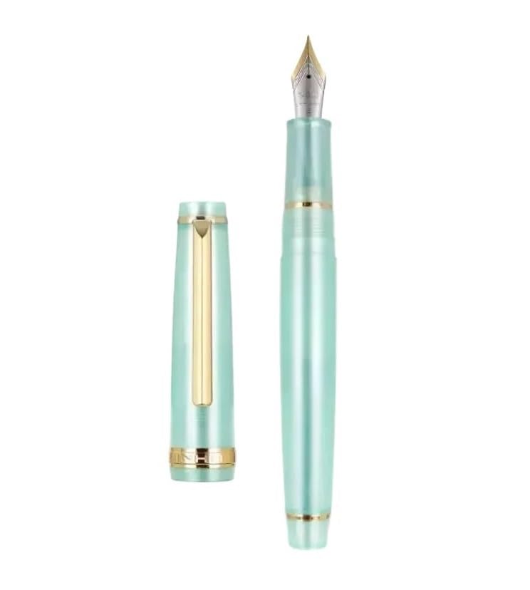 Stylo-plume transparent avec plume courbe ergonomique et corps kaki foncé