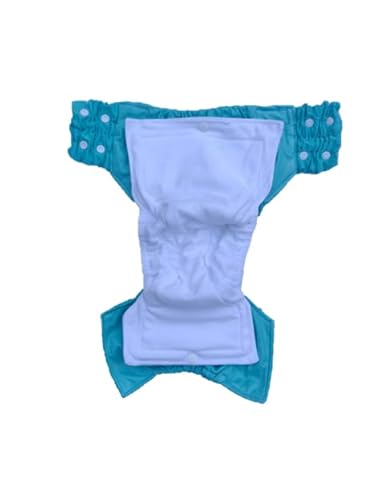 Kijani Baby NA Night Time Washable Cloth Pull Up Diapers thumb #1