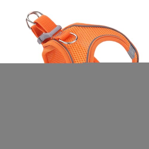 Eh~ Lpn[lX | ˋ@\t \tgbVxXgn[lX[h ߉\ - ^ ^ ^ ybg xXgJ[ oR Lv AEghAp