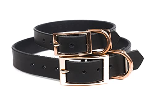 Copper Leaf Leather Handmade Studded Bridle Leather Dog Collar thumb #4