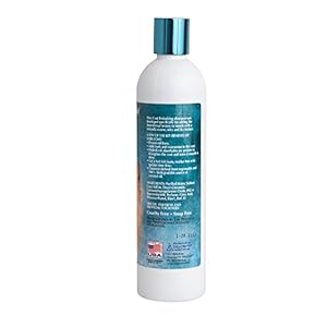 Biogroom Wiry Coat Dog Shampoo  Tearless Dog Bathing Supplies Puppy Wash Cat  Dog Grooming Supplies Crueltyfree Made in Usa Texturizing Shampoo Dog Products  12 Fl Oz 1pack  Cucciolini Doodles Bio groom wiry coat dog shampoo  tearless dog bathing supplies puppy wash cat  dog grooming supplies cruelty free made in usa texturizing shampoo dog products  12 fl oz 1 pack   cucciolini doodles