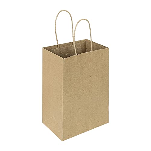 Oikss 100 Pack Kraft Paper Bags