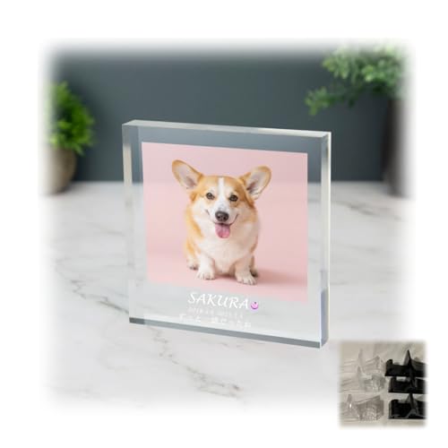 �y�b�g �t�H�g�t���[�� �J�X�^���ʐ^����ŃI���W�i���쐬 ���[�U�[�����Ŗ��O�E���t�E���b�Z�[�W����\ �a���΂͂ߍ��ݕt�� �A�N������ �X�^���h�t�� �� �L �������A�� �v���o �M�t�g