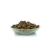 Bellfor Premium PUR FleischPlus Glutefrei Hundefutter mit Hohem Fleischanteil Die ideale Nahrung für alle normal aktiven Hunde 2,5 kg