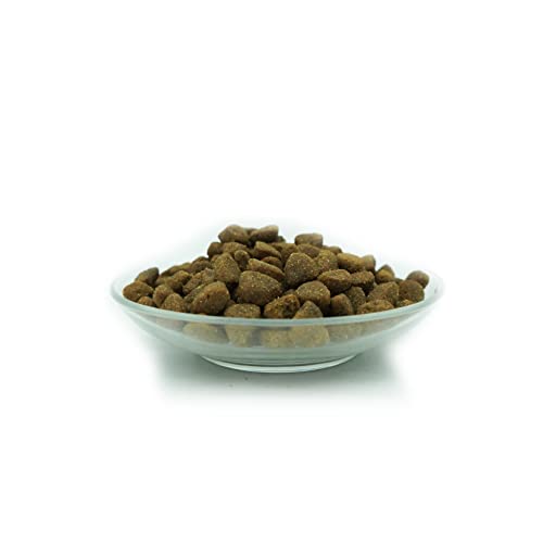 Bellfor Premium Pur Fleischplus, Cibo Per Cani Senza Glutine, Con Elevata Percentuale Di Carne. Il Cibo Ideale Per Tutti I Cani Normalmente Attivi, 10 Kg - 4