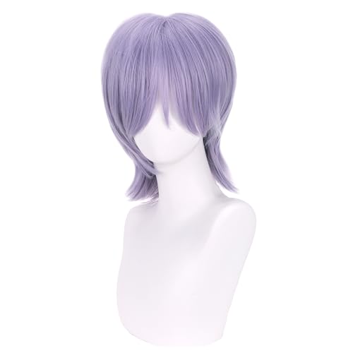 Light Purple Wigs Straight Purple Mixed Grey Wig Mens Cosplay Wig Daily Halloween Costume Synthetic Wigs
